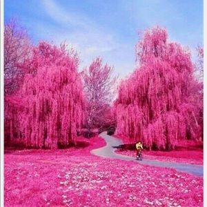 Meet your Posher, Pooja